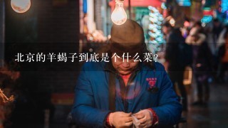 北京的羊蝎子到底是个什么菜？