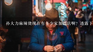 孙大力麻辣烫现在有多少家加盟店啊？透露下呗