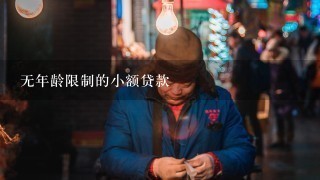 无年龄限制的小额贷款