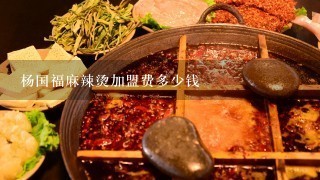 杨国福麻辣烫加盟费多少钱