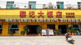 锦州市马家附近有宠物美容店吗 想给狗狗剪头发