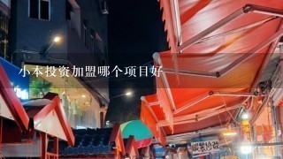 小本投资加盟哪个项目好