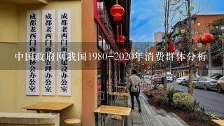 中国政府网我国1980-2020年消费群体分析