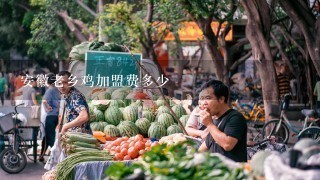 安徽老乡鸡加盟费多少