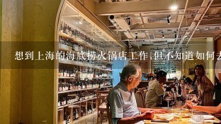 想到上海的海底捞火锅店工作,但不知道如何去？
