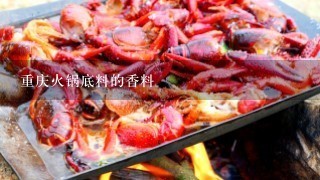 重庆火锅底料的香料