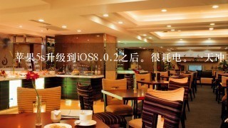 苹果5s升级到iOS<br/>8、<br/>0、2之后。很耗电。一天冲三次电