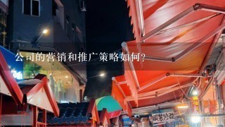 公司的营销和推广策略如何?