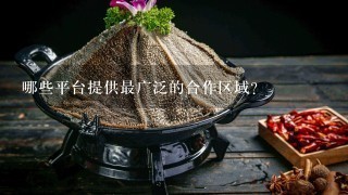 哪些平台提供最广泛的合作区域?